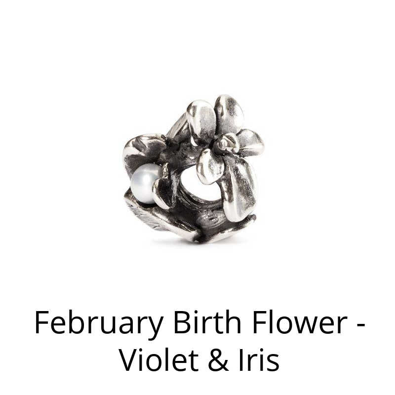 February Birth Month Flowers - Violet & Iris
