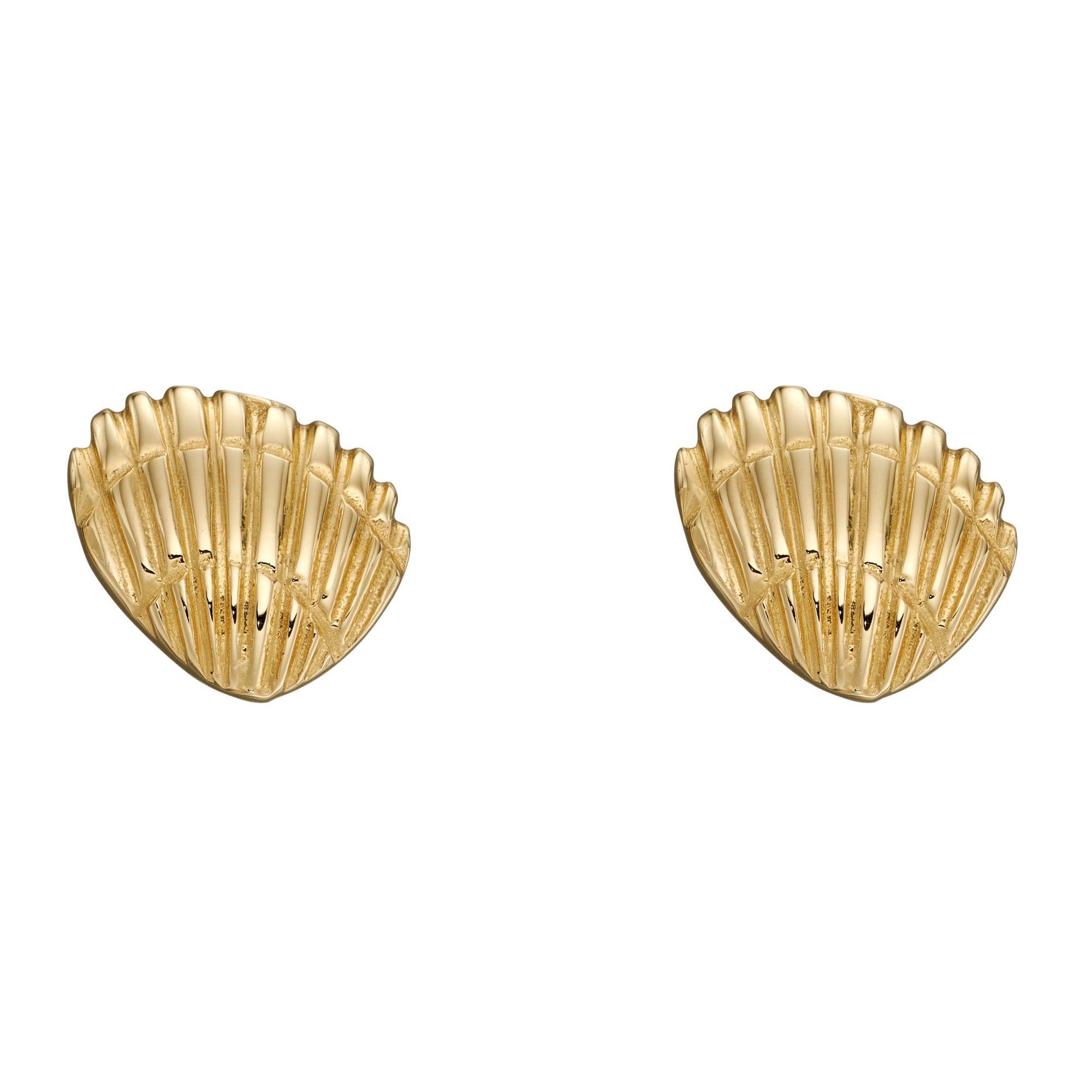 Gold Shell Stud Earrings Earrings Gecko 