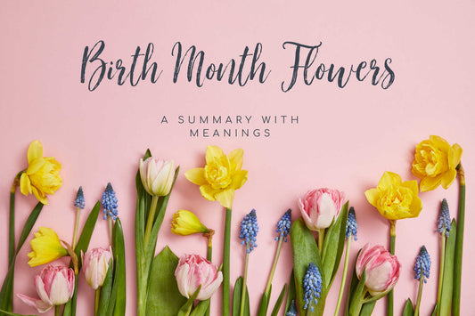Birth Month Flowers: A Beautiful Guide to Meanings & Gift Ideas