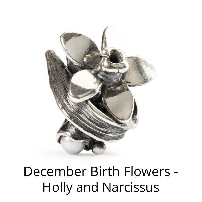 December Birth Month Flowers - Holly and Narcissus