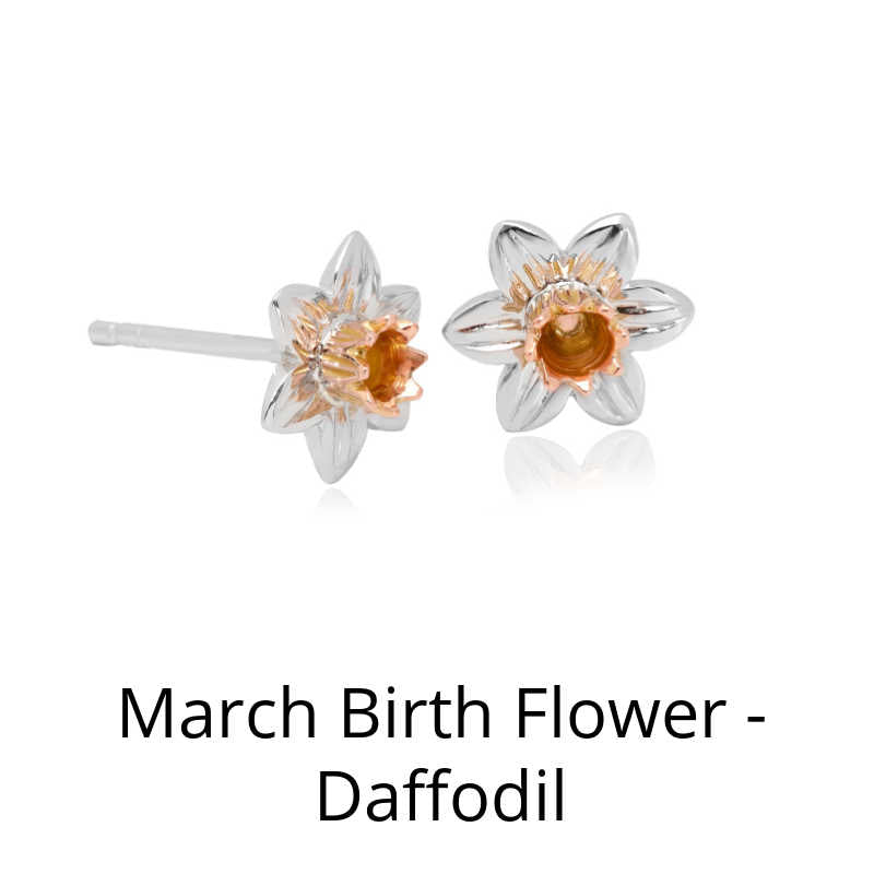 March Birth Month Flower - Daffodil