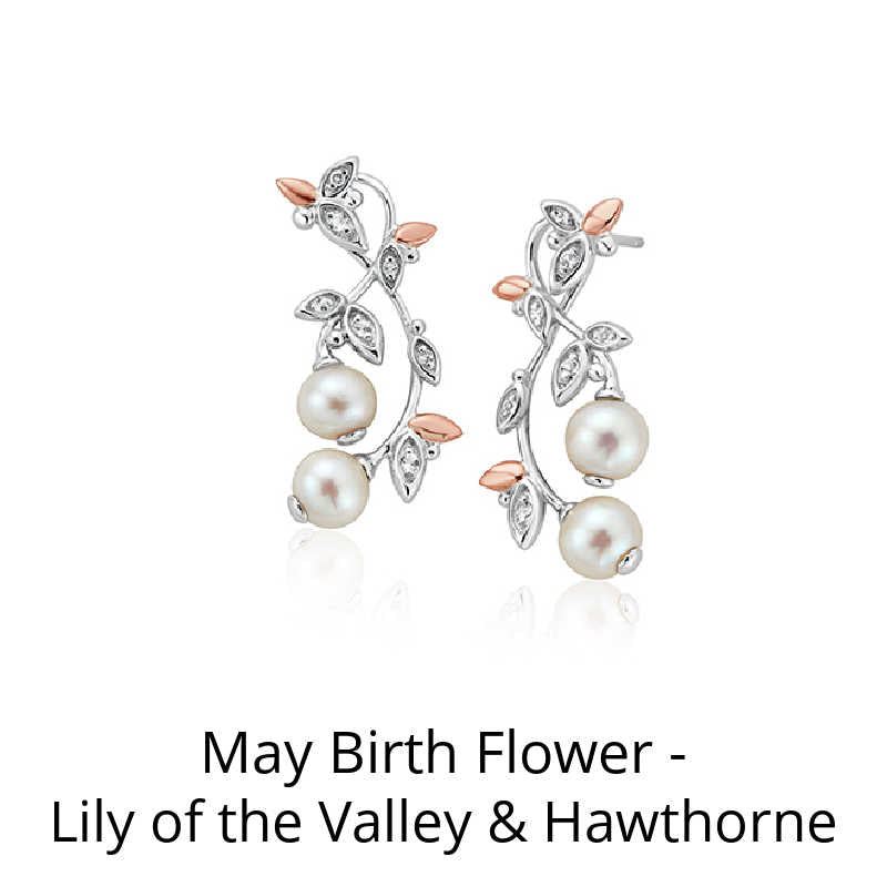 May Birth Month Flower - Lily of the Valley & Hawthorne