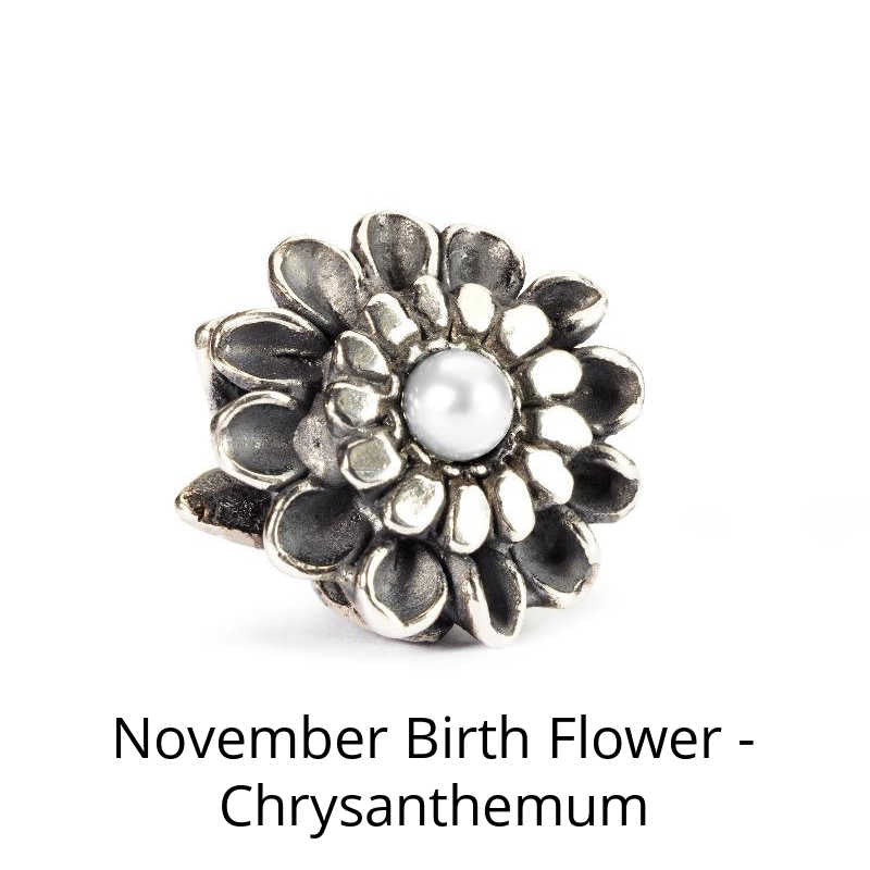 November Birth Month Flower - Chrysanthemum