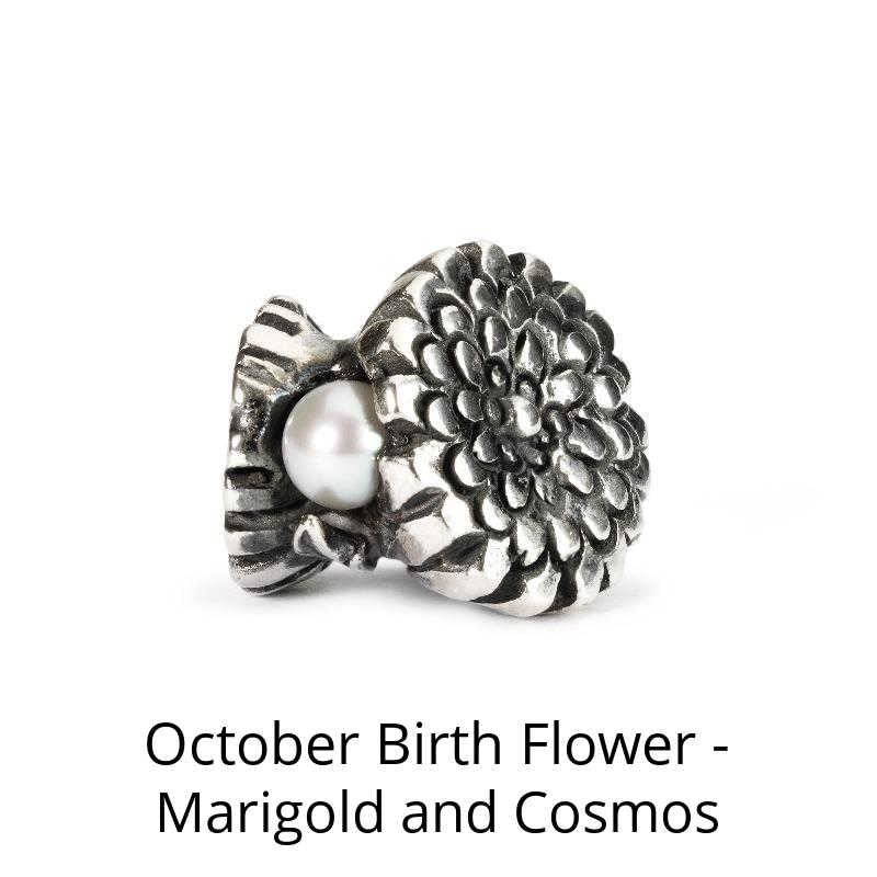 October Birth Month Flower - Marigold or Cosmos