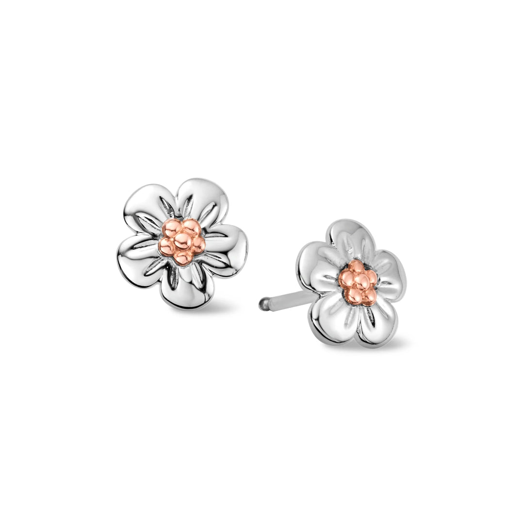 These are Forget-Me-Not stud earrings made of sterling silver with a touch of rare Welsh gold at the center of each flower.| Carathea & Jools
