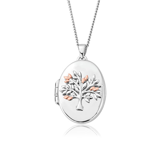 Clogau tree of life oval locket Carathea jewellers