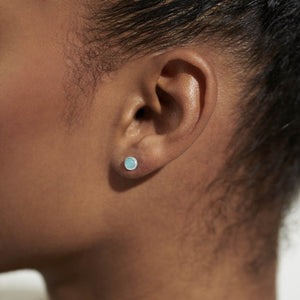 Silver plated March Aqua Crystal earrings - Carathea