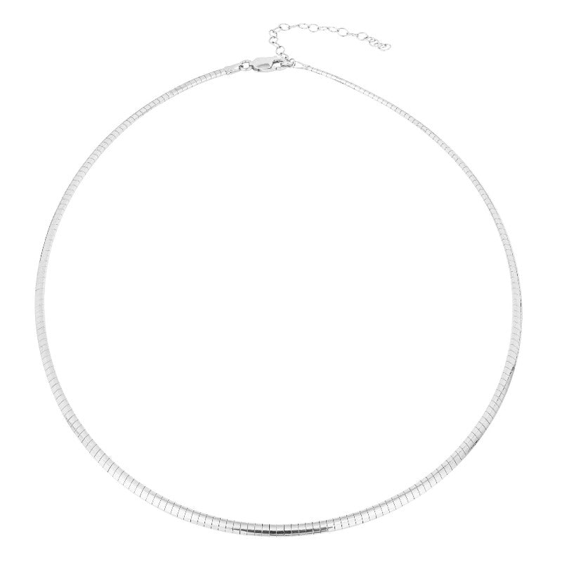 Silver Omega necklace | Carathea