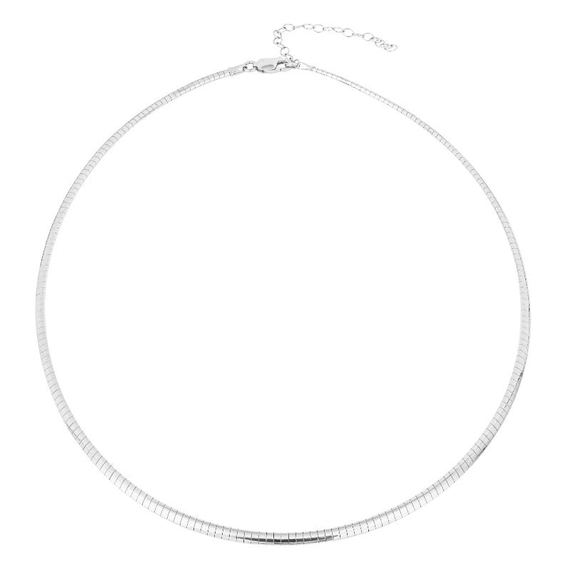 Silver Omega necklace | Carathea