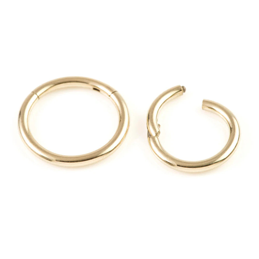 gold plated medical grade titanium hinged segment ring - Carathea & Jools