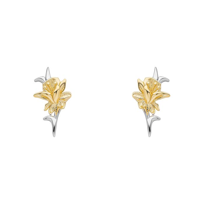 Daffodil stud earrings are lightweight, gold-plated, recycled sterling silver jewelry shaped like daffodils.