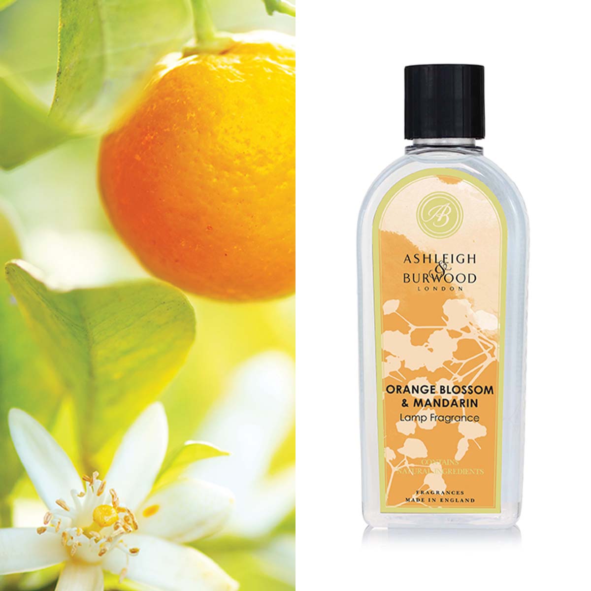 Orange Blossom and Mandarin Fragrance Lamp Oil