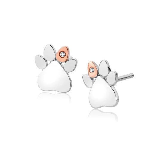 Clogau Welsh gold silver paw print stud earrings Carathea jewellers