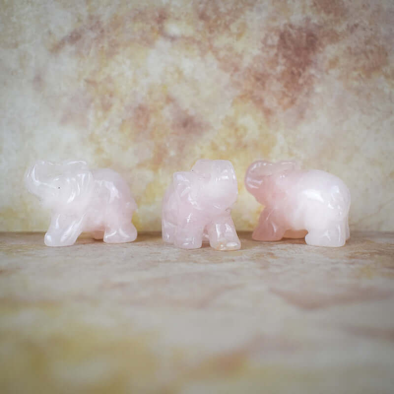 Rose Quartz Pink Elephant - Carathea