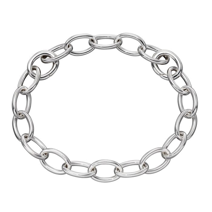 Silver Charm Carrier Bracelet