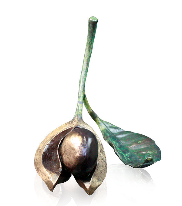 Limited Edition Solid Bronze Conker with Leaf Gifts Richard Cooper & Co 