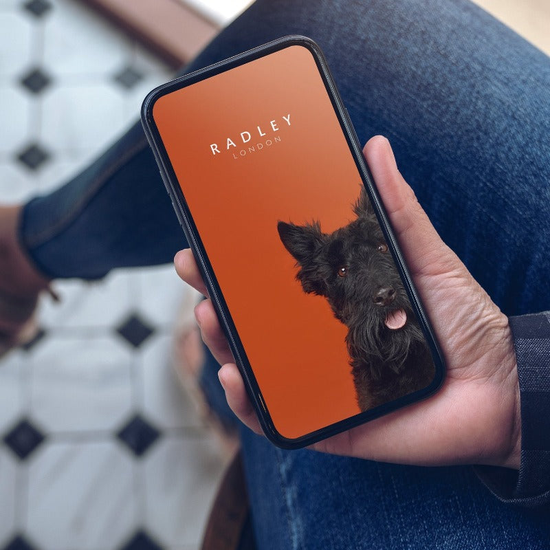 Radley Ladies Bluetooth Smart Series 6 Black Strap RYS06-2074 Watches Carathea