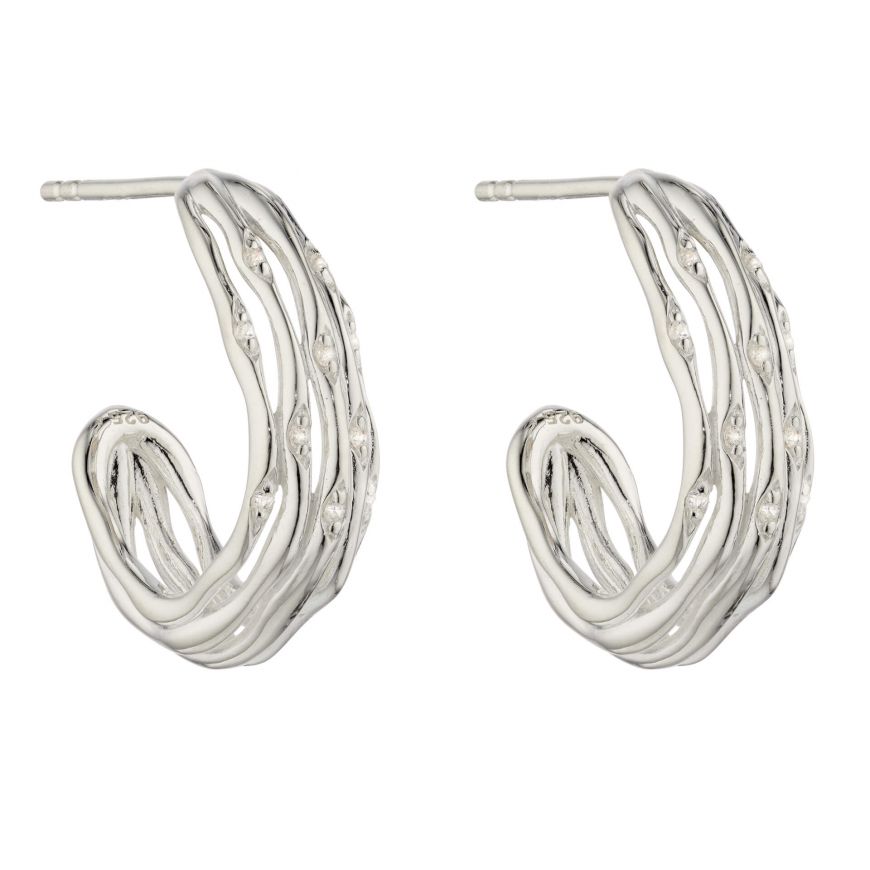 Silver Hoop Earrings in Bamboo Stems Design with CZ's Earrings Gecko