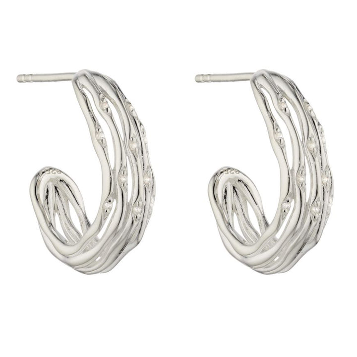 Silver Hoop Earrings in Bamboo Stems Design with CZ's Earrings Gecko