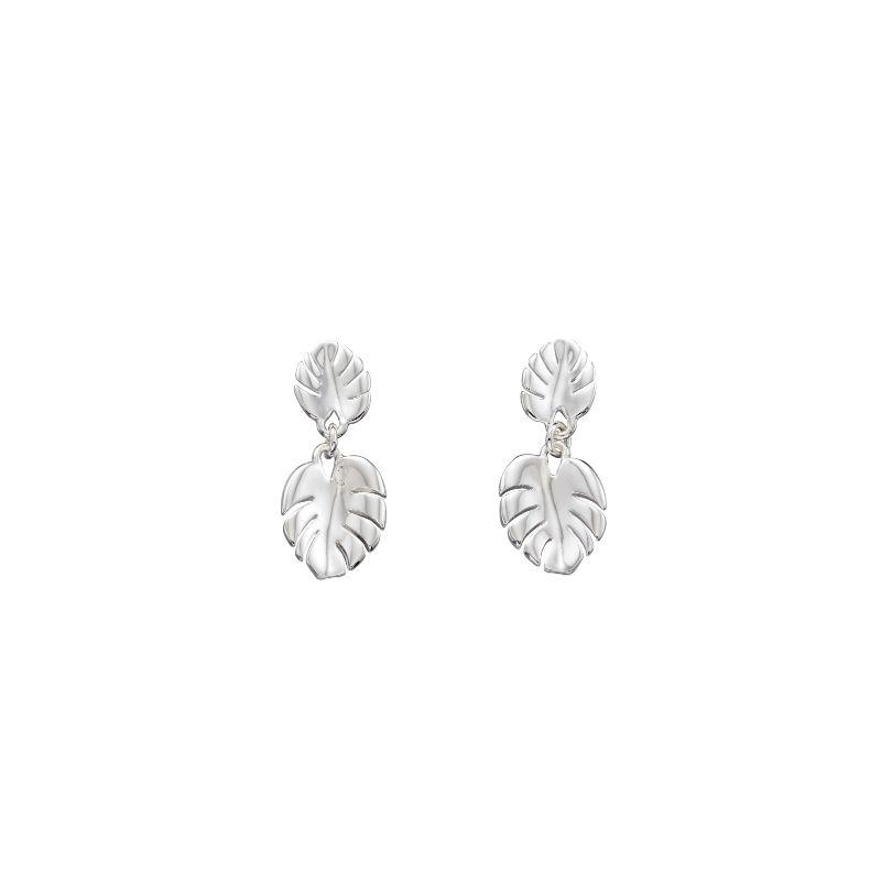 Silver Cheese Plant Leaf Earrings Jewellery Carathea 