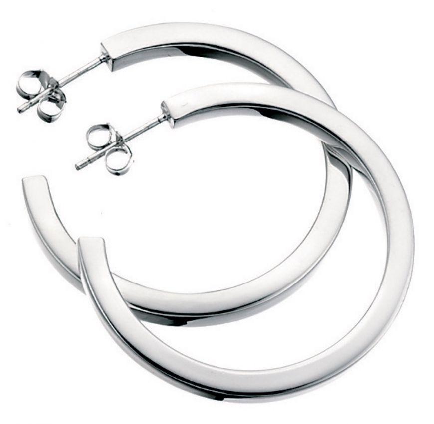 Silver Hoop Earrings Jewellery Gecko
