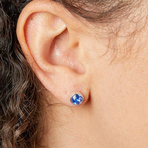 Silver Sapphire Crystal Stud Earrings Earrings Gecko 