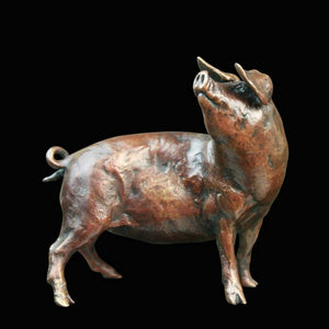 Limited Edition Solid Bronze Pig Sculpture Giftware Richard Cooper & Co 