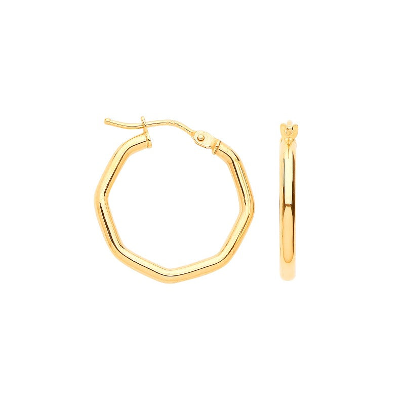 Gold Octagonal Hoop Earrings Earrings Hanron 
