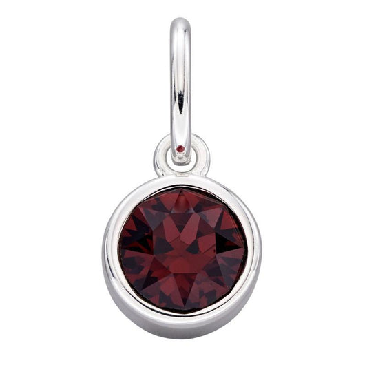 January Swarovski Charm or Pendant Jewellery Carathea